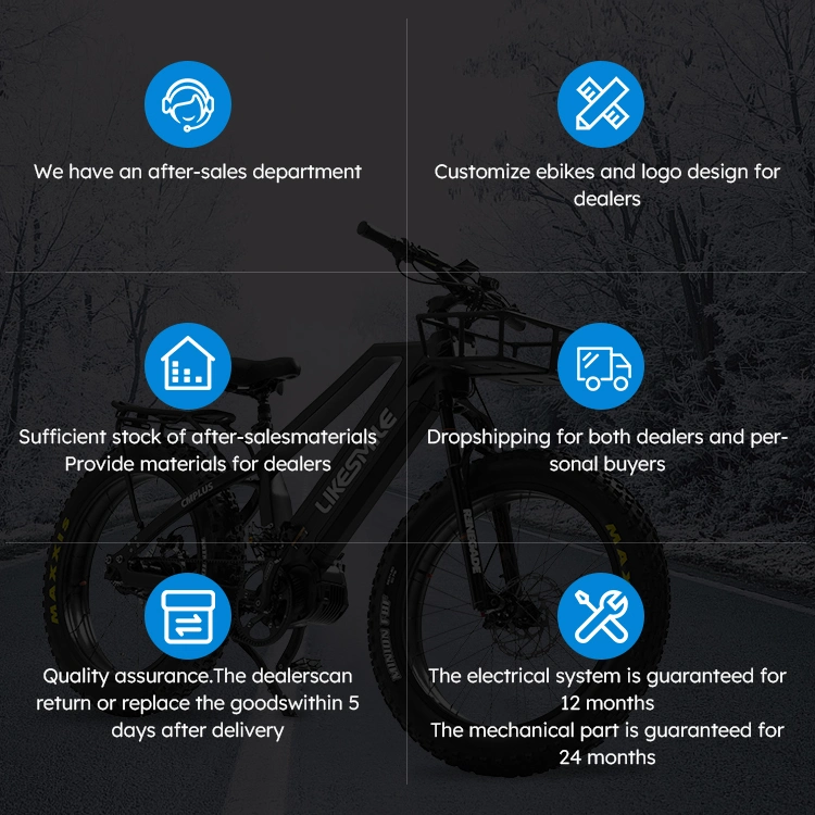 AMD1000-2 Dual Battery Hunting Bikes Power Electric Fat Tire Bike 48V 1000W Electric Vehicle