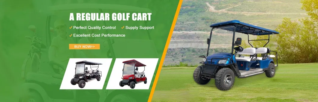 Top Quality Electric Golf Cart 4 Seater High Performance Golf Cart Electric