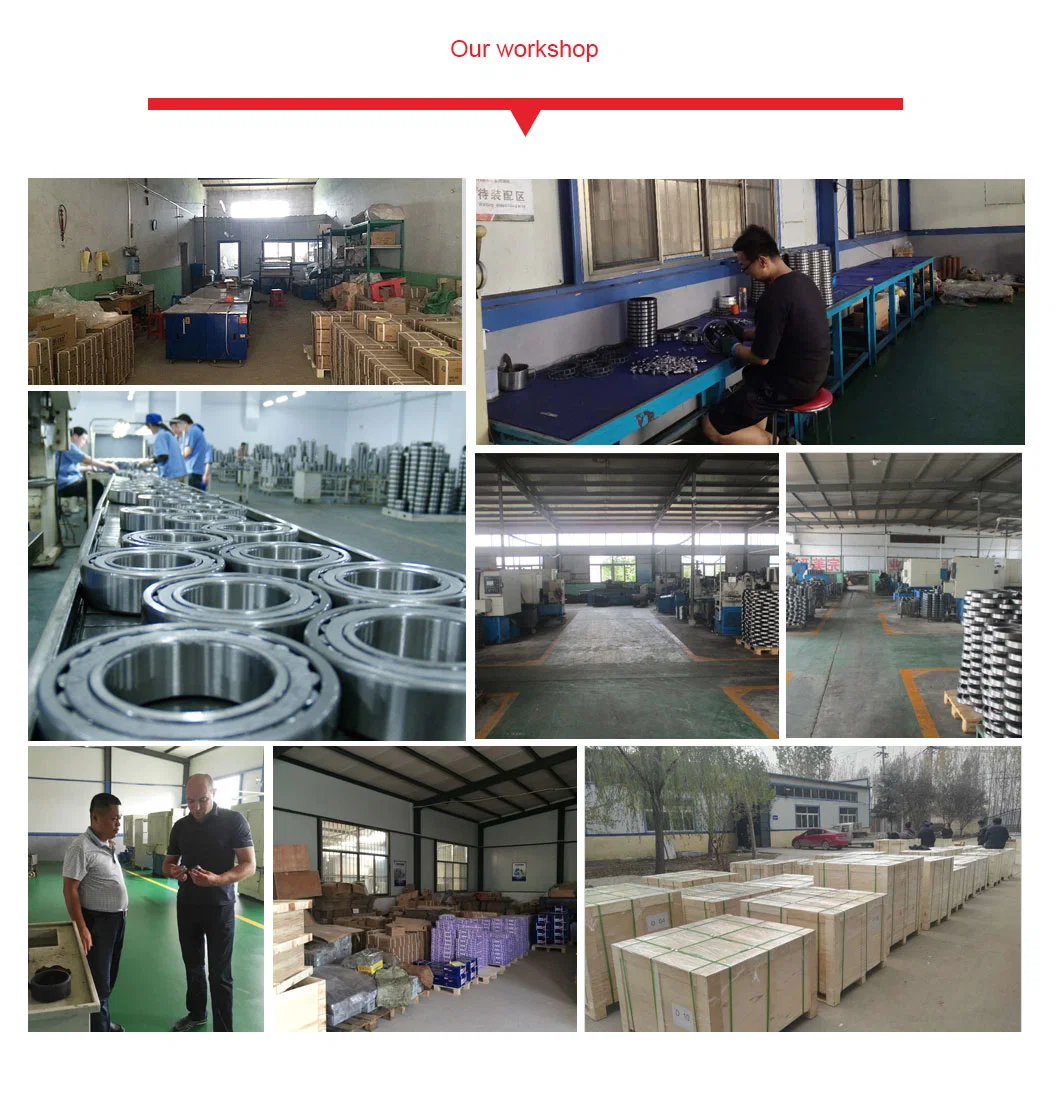 Cast Iron, Cast Steel Snl506-605, Se507-606 Split Plummer Block Housing Manufacturer with Spherical Roller Bearing for Paper Making Chip Conveyers