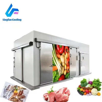  China Factory Mini Chicken Coolroom Chambre Froide Blast Freezer Cold Rooms Portable Cold Storage for Sale