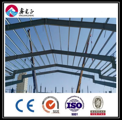 Pre Engineering Building Steel Structure Warehouse Workshop Hanger (BYSS-220609007)
