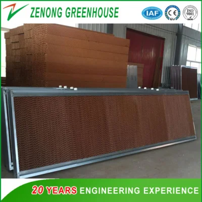 Agriculture Wet Curtain for Lower The Temperature of The Plastic/PC Sheet/Glass Greenhouse