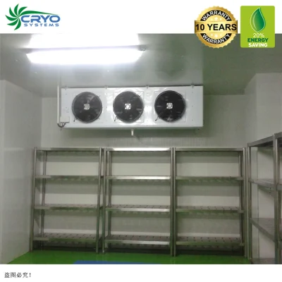  Brazil Meat Mutton Carcass Monitor Temperature Walk in Cooler WiFi PVC Curtain Cold Room Walk in Freezer