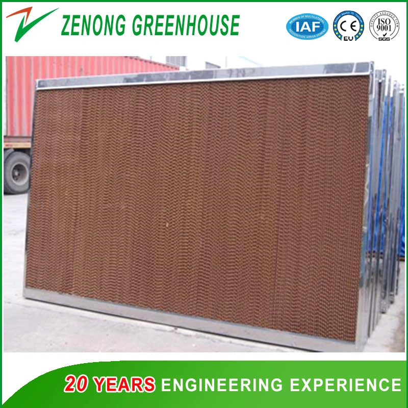 Agriculture Wet Curtain for Lower The Temperature of The Plastic/PC Sheet/Glass Greenhouse