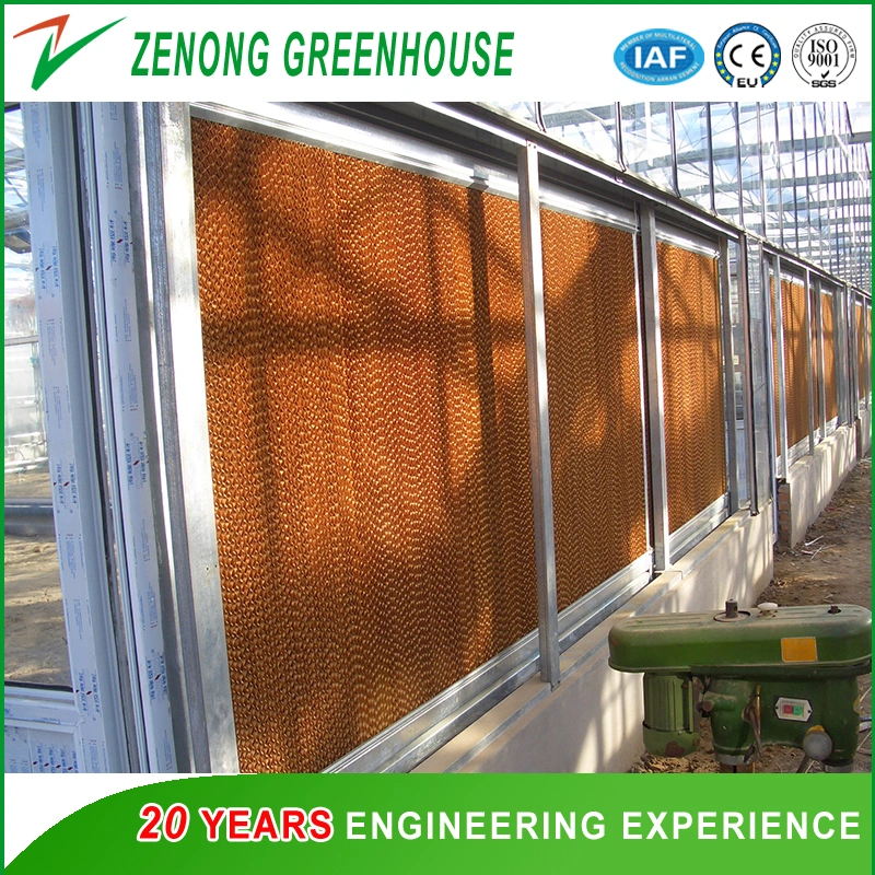 Agriculture Wet Curtain for Lower The Temperature of The Plastic/PC Sheet/Glass Greenhouse