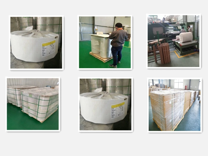 Transparent Film Sheet Pet PVC PP PLA Plastic Sheet Rolls Film Clear Bioplastics Film for Pharmaceutical/Food Packaging