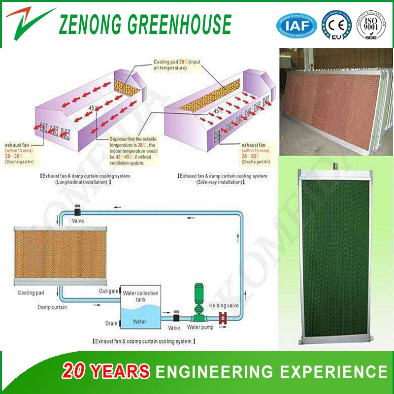 Agriculture Wet Curtain for Lower The Temperature of The Plastic/PC Sheet/Glass Greenhouse