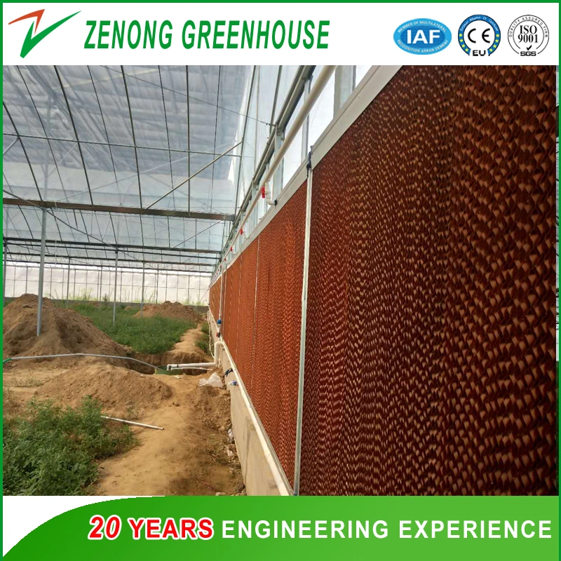 Agriculture Wet Curtain for Lower The Temperature of The Plastic/PC Sheet/Glass Greenhouse