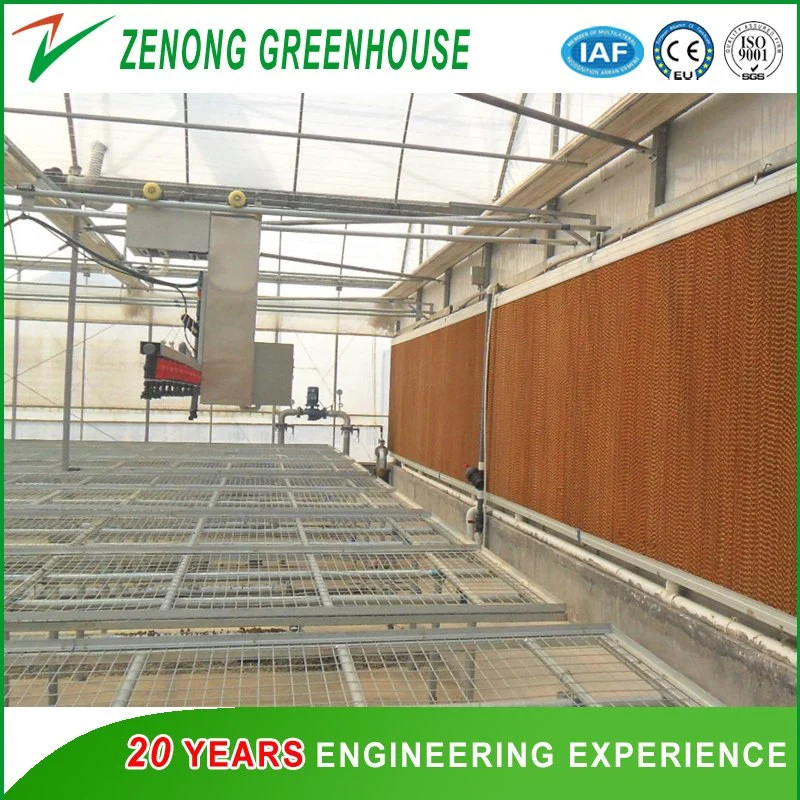 Agriculture Wet Curtain for Lower The Temperature of The Plastic/PC Sheet/Glass Greenhouse