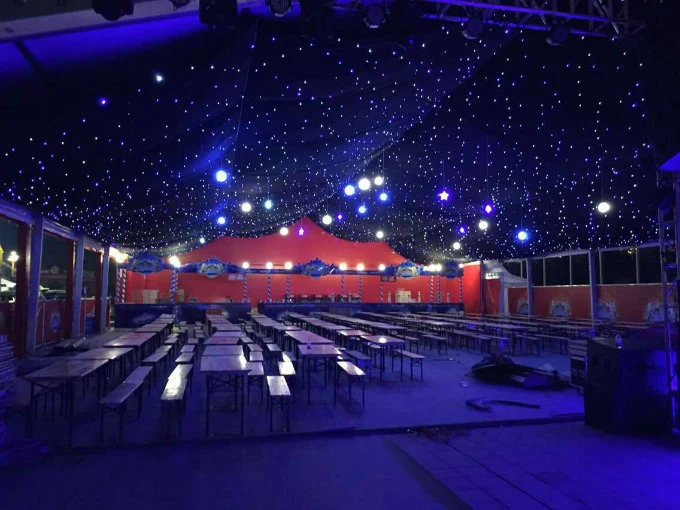 LED Star Cloth/LED Star Curtain/Wedding Lighting/Fire Retardant Curtain