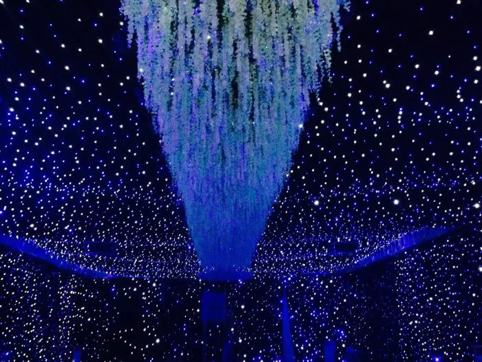 LED Star Cloth/LED Star Curtain/Wedding Lighting/Fire Retardant Curtain