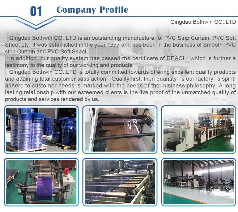 Commercial Polar Transparent PVC Strip Curtain with Certificate: ISO