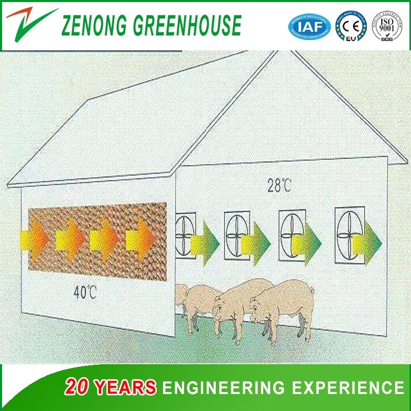 Agriculture Wet Curtain for Lower The Temperature of The Plastic/PC Sheet/Glass Greenhouse