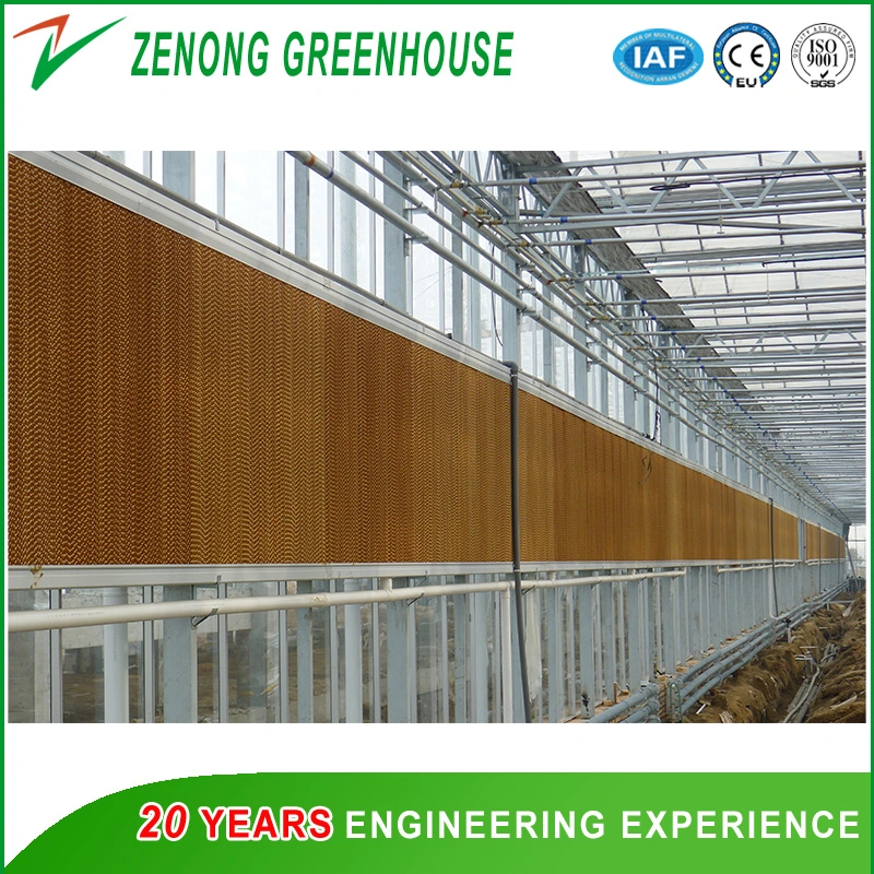 Agriculture Wet Curtain for Lower The Temperature of The Plastic/PC Sheet/Glass Greenhouse