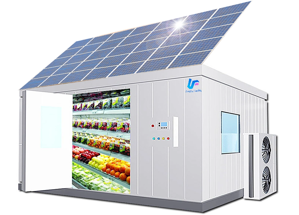 High-Quality Solar Cold Storage Coldroom and Coolroom for Frozen Meat, Fruits, Vegetables