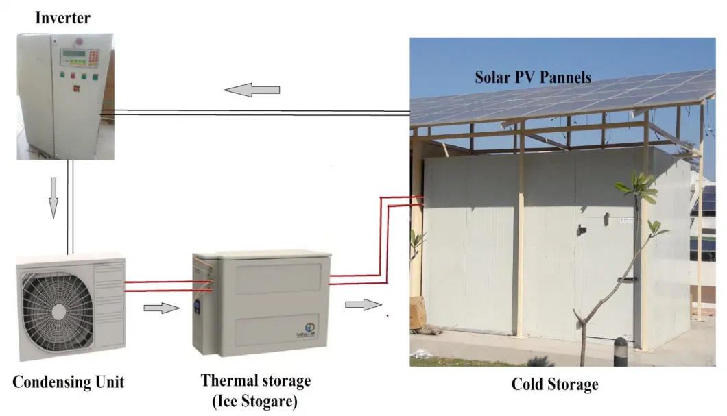 High-Quality Solar Cold Storage Coldroom and Coolroom for Frozen Meat, Fruits, Vegetables