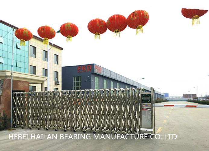 Pillow Block Bearing/Hebei Hailan Bearing Manufacture Co., Ltd