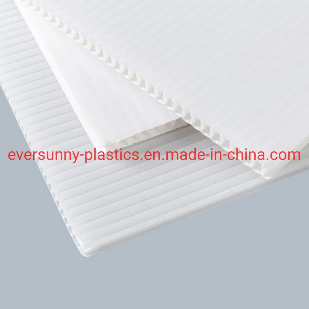 White PP Plastic Corrugated Hollow Polyphenylene Correx Conflute Coroplast Chloroplast Cast Extruded Acrylic PS PVC PP Paper Forex Foam Pet APET Rigid ABS Sheet