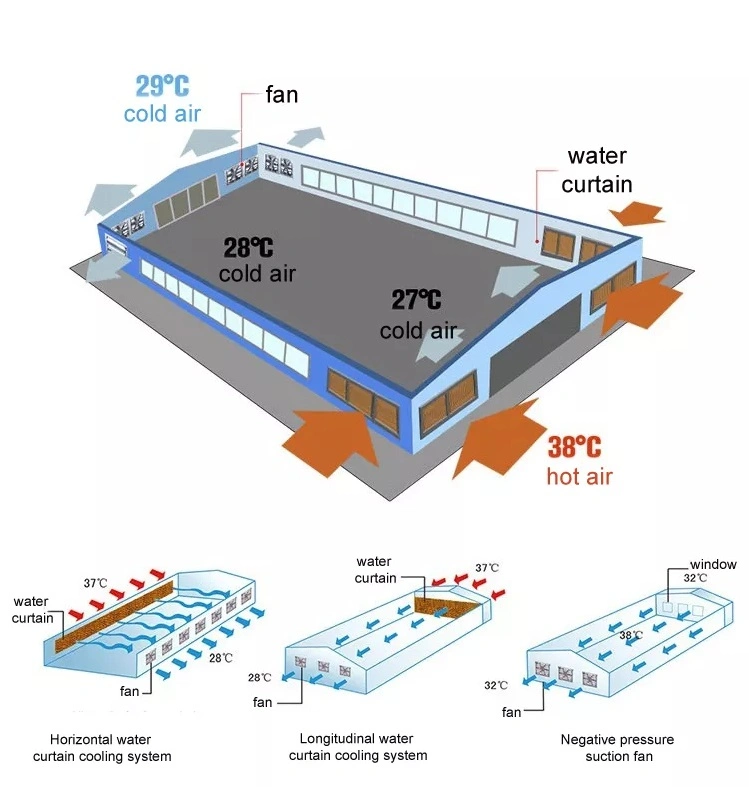 Xinhe Large Customizable Qingzhou Plastic Greenhouse Commercial Wet Curtain with Low Price