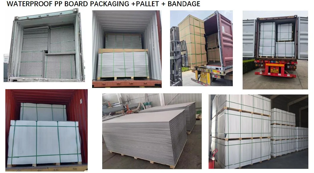 Wall Panel Formwork Construction Concrete Building Formwork Boards for Sale