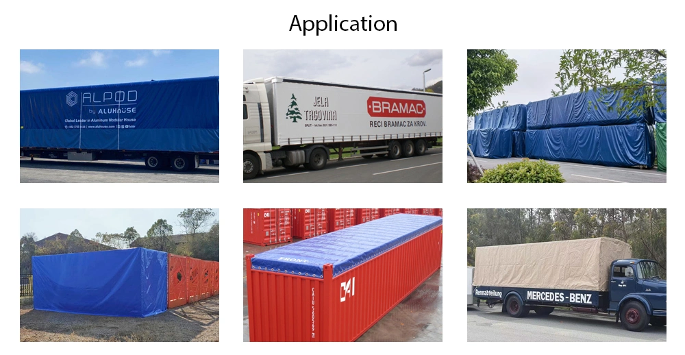 Litong Popular China Manufacture Waterproof PVC Mesh Coated Tarpaulin Printed Logo Double Sided Curtain for Truck