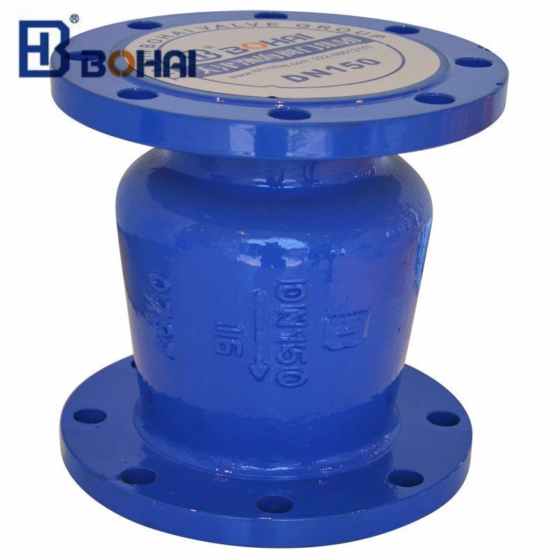 Industrial Flanged Silencing Check Valve DN80 with Excellent Quality