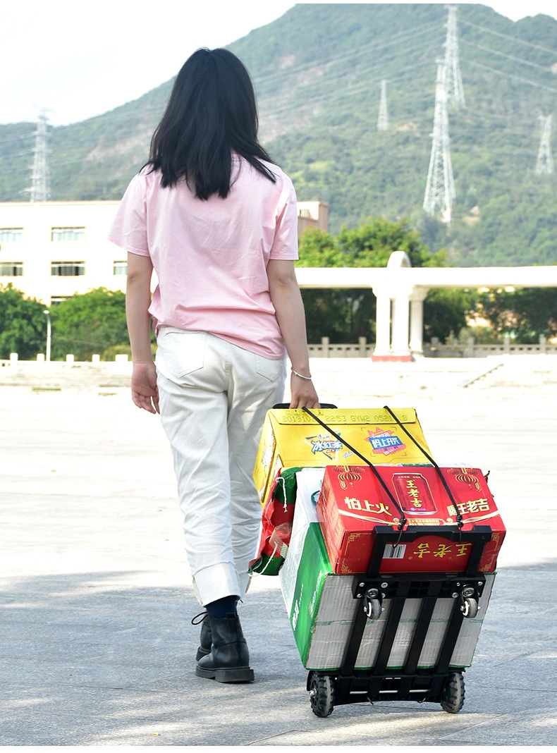 Heavy Load Transport Cargo Loading Trolley 45kgs SGS Tested