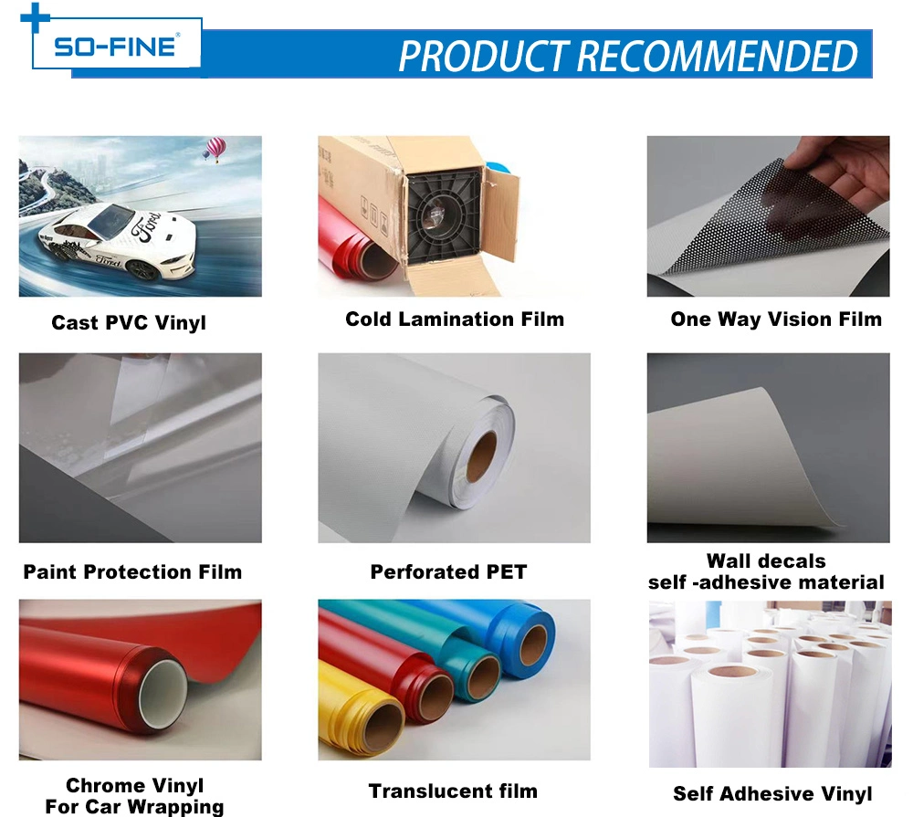 Digital Printing Film Self Adhesive PVC Vinyl Sticker