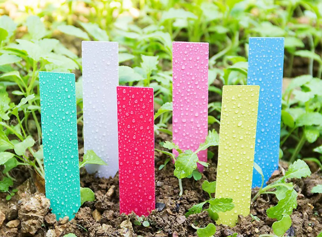 Plastic Colorful Nursery Garden Labels Plant Stakes