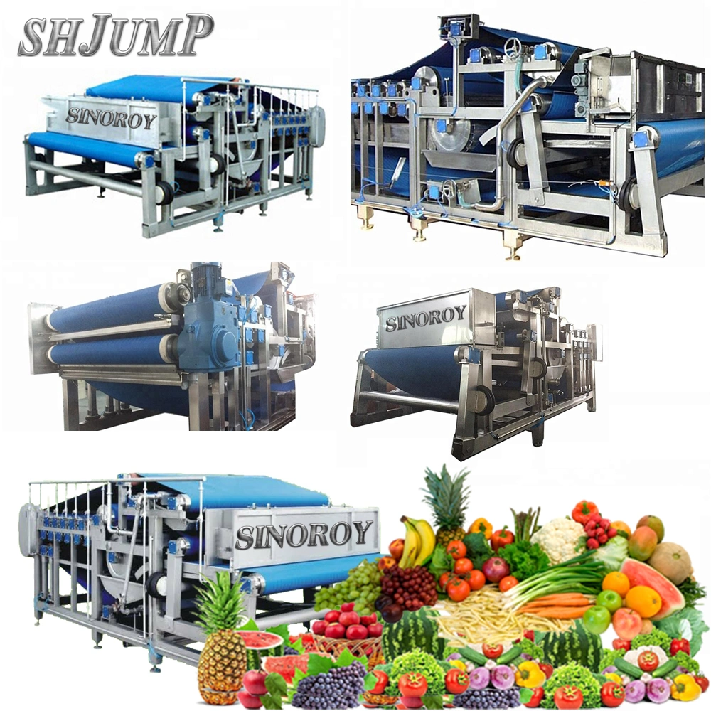 Persimmon Sauce Processing Line