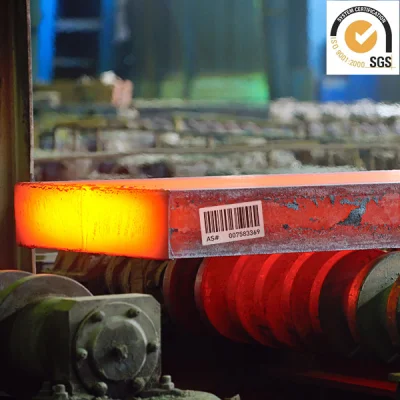  Certificato CE/mercato USA/alta temperatura/termoresistenza/etichetta di resistenza termica per ferro in acciaio/ Etichetta prodotto elettrico/saldatura/saldatura/acciaio per condotte a gas