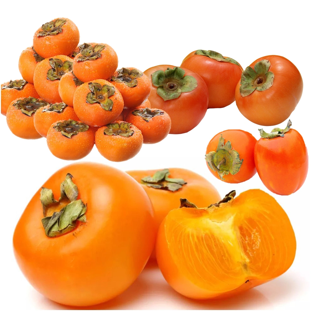 Persimmon Sauce Processing Line