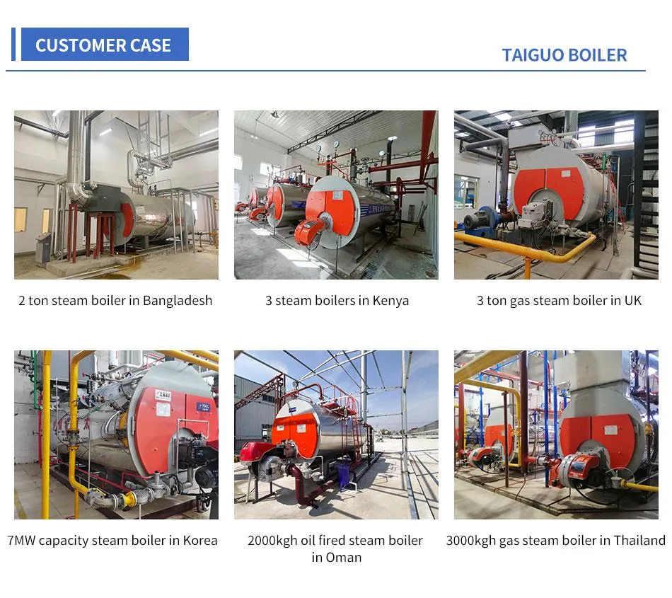 Wet Back 5 Tonnes Capacity Textile Boiler for Dyeing