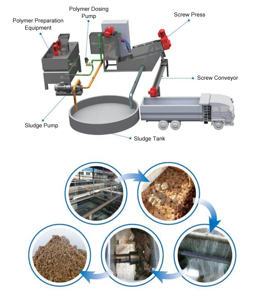 Waste Water Treatment Plant Sludge Dewatering Machine for Pringting and Dying Sludge