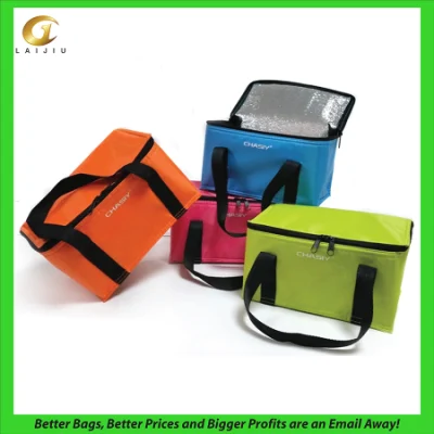 Insulated Promotional Can Cooler Bags for Food Package, Insulated Picnic Lunch Bag Large Soft Cooler Bag for Outdoor/Camping/BBQ/Travel
