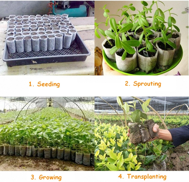 Non-Woven Biodegradable Plant Nursery Growing Pouch Degradable Seedling Pot