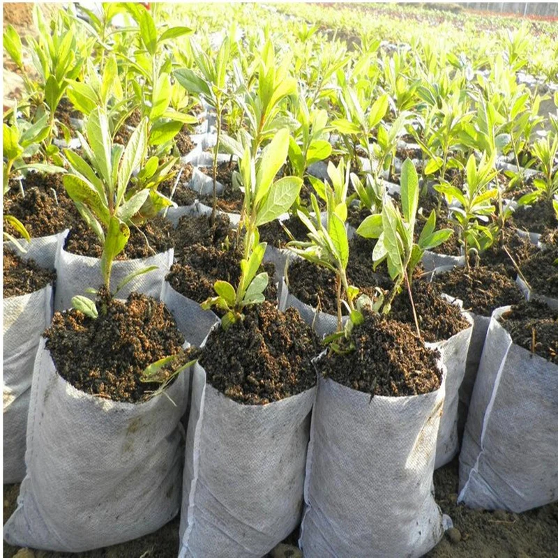 Non-Woven Biodegradable Plant Nursery Growing Pouch Degradable Seedling Pot