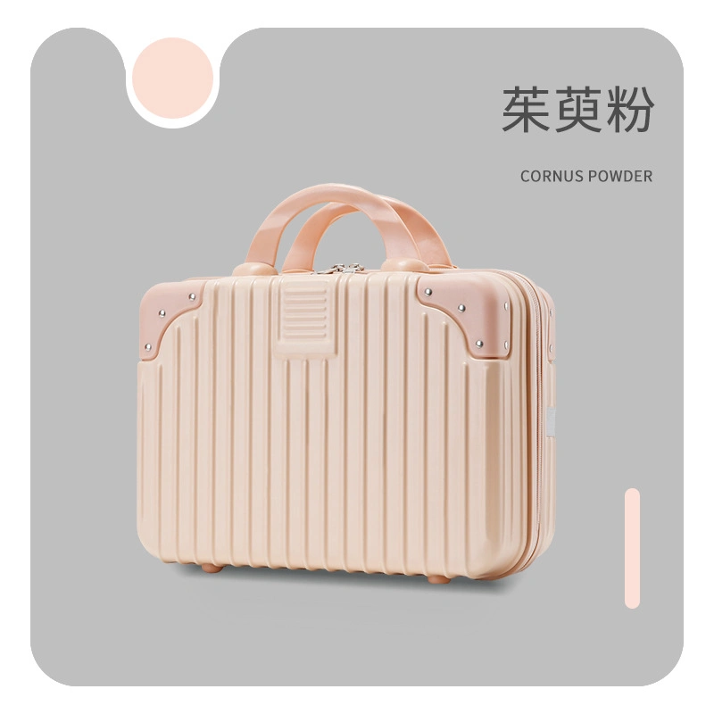 Factory Wholesale 14 Inch 12 Inch Portable Luggage with Hand Gift Small Mini Travel Code Box Cosmetic Storage Bag