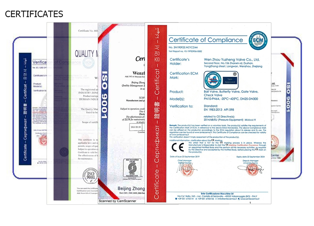 Stainless Steel Sanitary Triclamp Aspetic Auto Reset Sample Valve