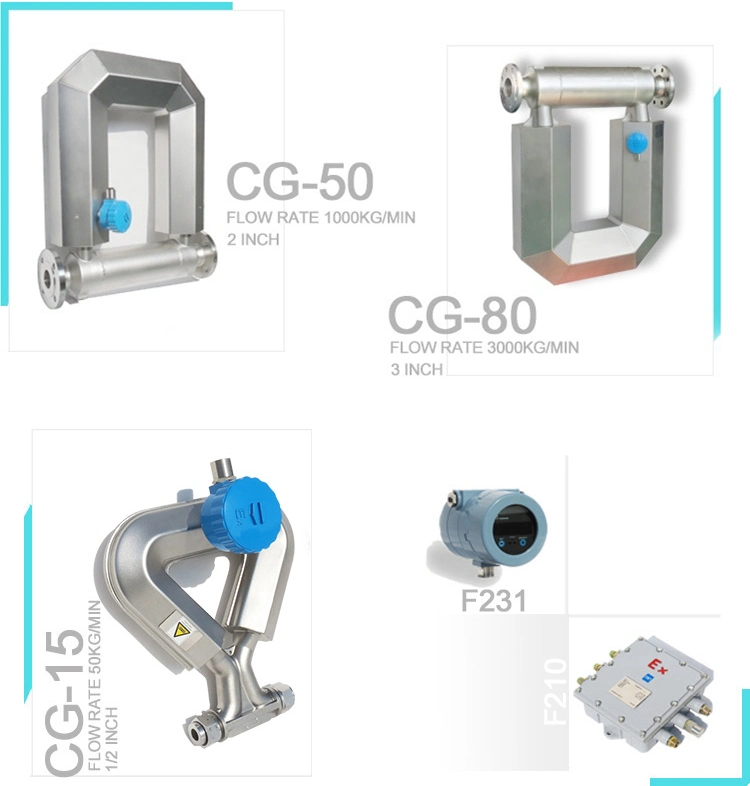 LPG Custody Transfer Coriolis Flow Meter I Mass Flowmeter I Mass Flow Meter