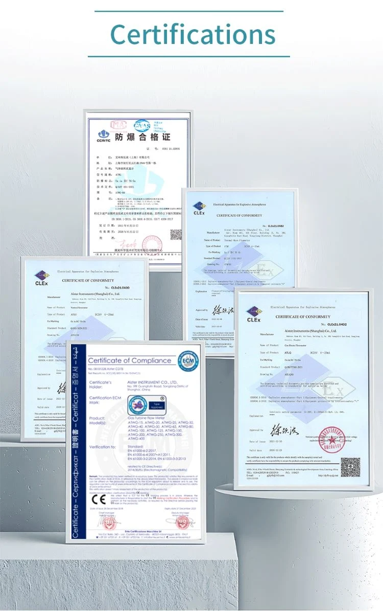 High Accuracy 1.0% Stainless Steel DN50 3.6V Battery DC24V 4-20mA Output Custody Transfer LPG Gas Turbine Flowmeter