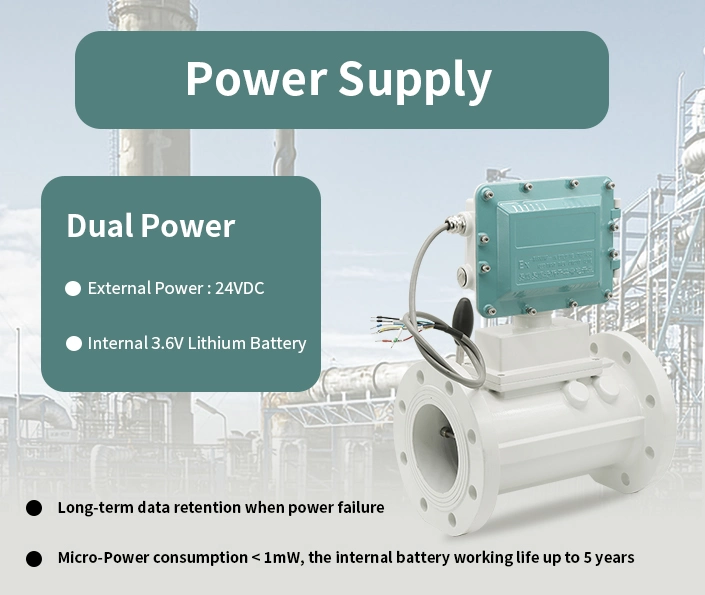 High Accuracy 1.0% Stainless Steel DN50 3.6V Battery DC24V 4-20mA Output Custody Transfer LPG Gas Turbine Flowmeter