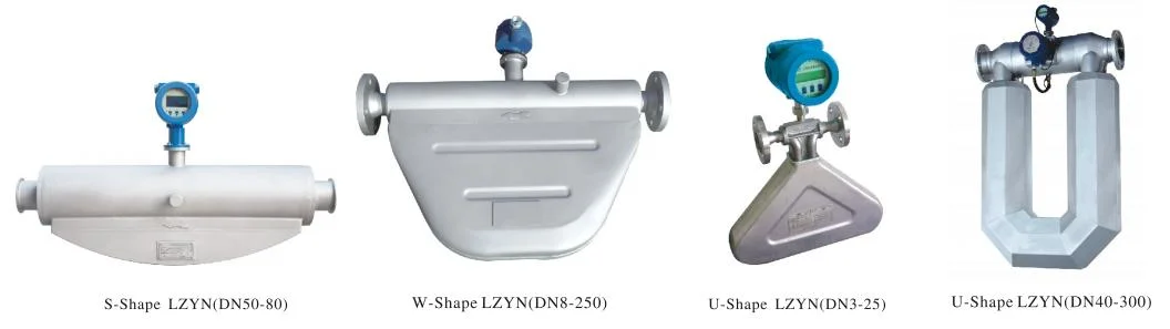 Custody Transfer Lzyn Mass Flow Meter for Liquid &amp; Gas