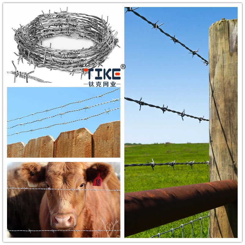 Galvanised Barbed Wire/High Zinc Steel Wire Barbed Wire Fence