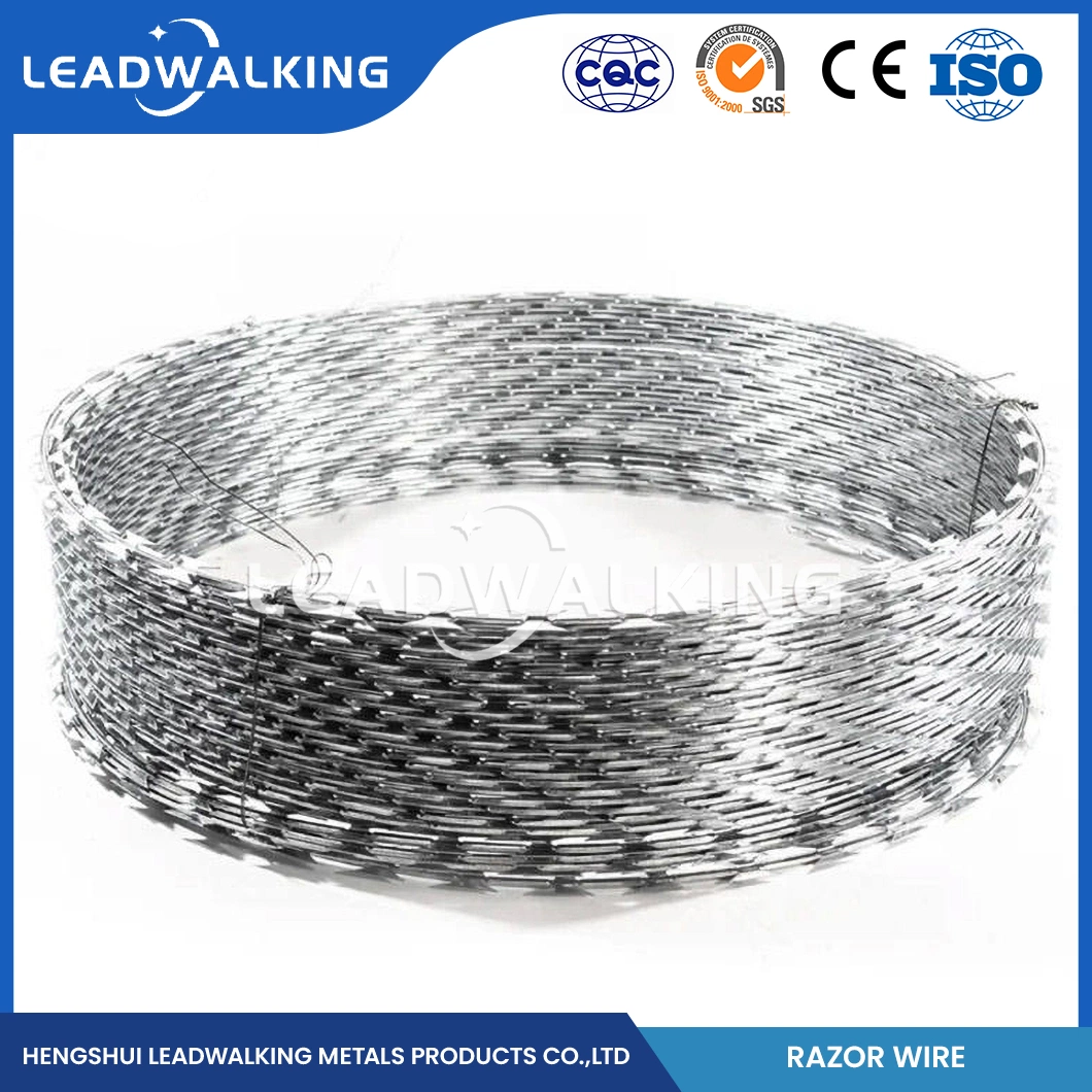 Leadwalking Tensioning Barbed Wire Manufacturing 19 Strands Steel Wire Galvanised Razor Barbed Wire China Bright Surface Cheap Razor Barbed Wire