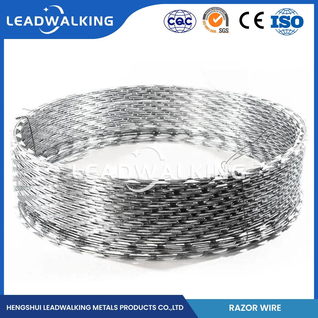 Leadwalking Tensioning Barbed Wire Manufacturing 19 Strands Steel Wire Galvanised Razor Barbed Wire China Bright Surface Cheap Razor Barbed Wire