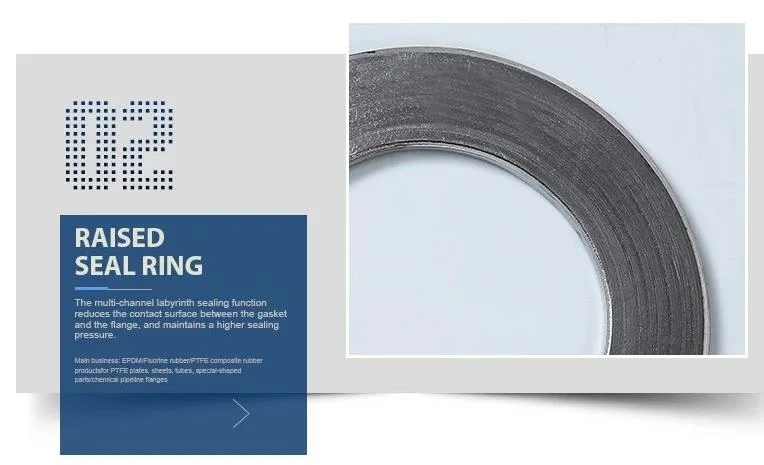 Made in China 304/304L Graphite Spiral Wound Metal Gasket High-Pressure Steam Gasket High-Temperature Resistance Gasket