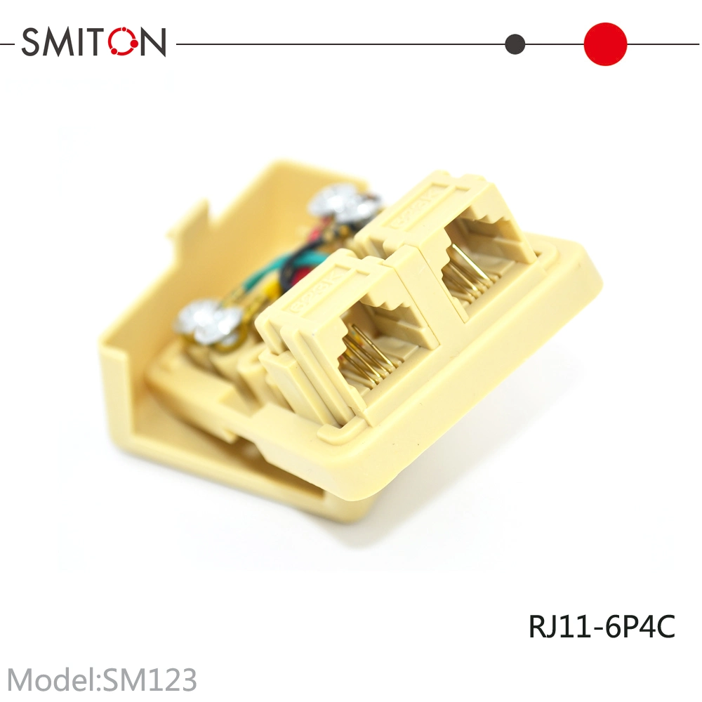 Dual Ports ABS Rj11 6p4c Modular Telephone Terminal Junction Box