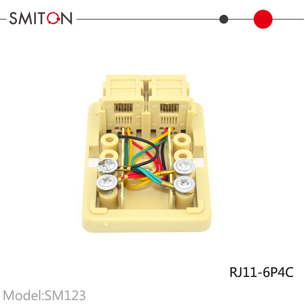 Dual Ports ABS Rj11 6p4c Modular Telephone Terminal Junction Box