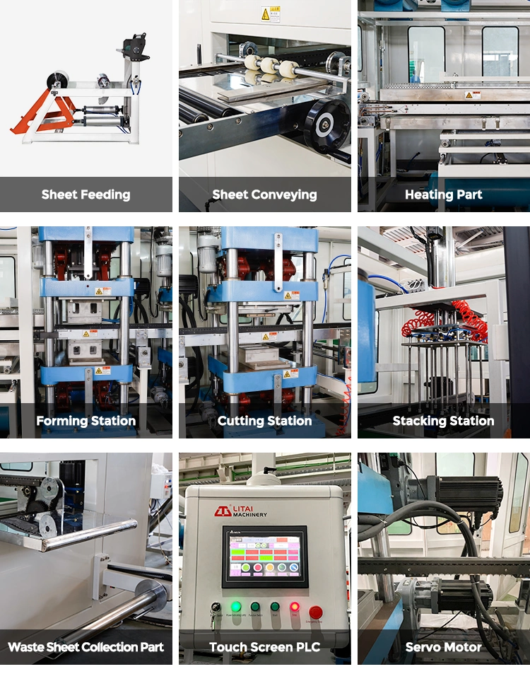 Fully Automatic Plastic Egg Tray Molding Thermoforming Machine Price